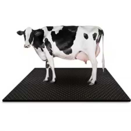 Cow Mats