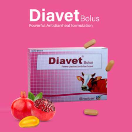 Diavet