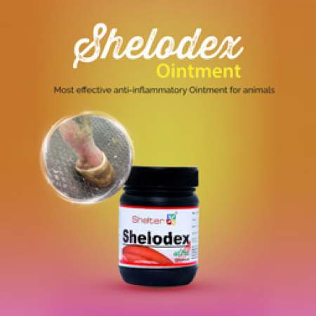 Shelodex